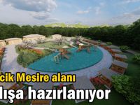 Tepecik Mesire alanı açılışa hazırlanıyor