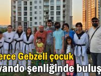 Yüzlerce Gebzeli çocuk tekvando şenliğinde buluştu