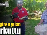 Eve giren yılan korkuttu!