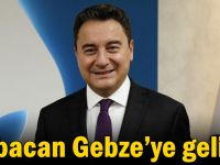 Babacan Gebze’ye geliyor