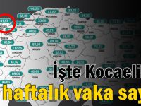 İşte Kocaeli'de haftalık vaka sayısı