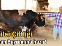 Zekiler Çiftliği Kurban Bayramına hazır!