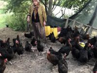 Büyükşehir’in yüzde 50 hibeli tavuk desteği çiftçilerin yüzünü güldürüyor