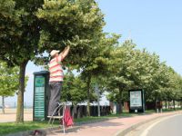 Kocaeli sokaklarını ıhlamur kokusu sardı