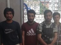 4 Kaçak göçmen takside yakalandı