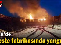 Gebze'de kereste fabrikasında yangın!
