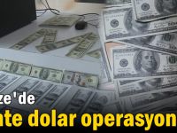 Gebze'de sahte dolar operasyonu!