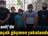 Kocaeli'de 4 kaçak göçmen yakalandı!