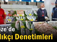 Gebze’de Balıkçı Denetimleri