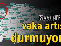 Kocaeli'de vaka artışı durmuyor!