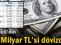 Kocaeli'nin 22 Milyar TL’si dövizde!