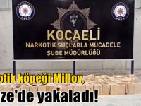 Narkotik köpeği Millov, Gebze'de yakaladı!