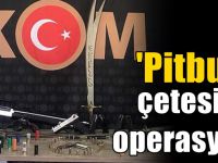 'Pitbull' çetesine operasyon