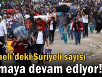 Kocaeli’deki Suriyeli sayısı artmaya devam ediyor!