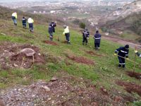 Büyükşehir’den Gölcük Hisareyn’e bal ormanı