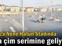 Darıca Nene Hatun Stadında sıra çim serimine geliyor