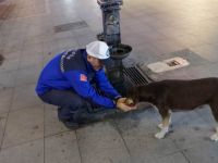 Elleriyle köpeğe su içirdi, gönülleri fethetti