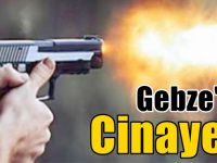 Gebze'de cinayet!