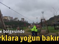 Gebze bölgesinde parklara yoğun bakım