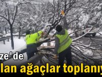 Gebze'de kırılan ağaçlar toplanıyor