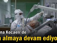 Korona Kocaeli'de can almaya devam ediyor