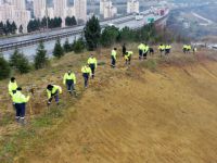 Şehir Hastanesi yolunda çevre düzenlemesi