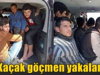 15 Kaçak göçmen yakalandı!