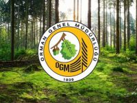 Orman Genel Müdürlüğü Kocaeli'de 64 işçi alacak!