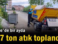 Bir ayda 117 ton atık toplandı