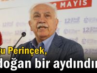 Perinçek: Erdoğan bir aydındır