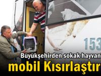 Büyükşehirden sokak hayvanlarına Mobil Kısırlaştırma