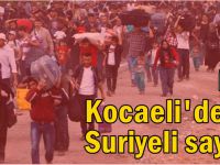 Kocaeli'de kaç Suriyeli var?