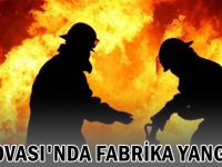 Dilovası'nda fabrika yangını!