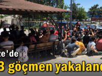 103 göçmen Gebze'de jandarmaya yakalandı