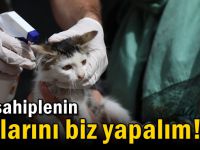 Siz sahiplenin aşılarını biz yapalım!