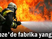 Gıda fabrikasında yangın: 6 işçi hastanelik oldu