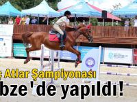 Genç Atlar Şampiyonası, Gebze’de gerçekleştirildi