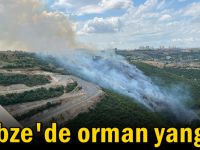 Gebze'de orman yangını