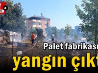 Palet fabrikasında yangın çıktı!