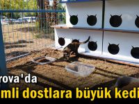 Sevimli dostlara büyük kedi evi