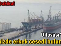 Osmangazi köprüsü yakınlarında erkek cesedi