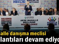 Mahalle danışma meclisi toplantıları devam ediyor