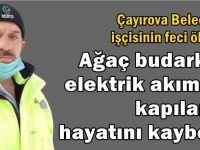 Ağaç keserken elektrik akımına kapılarak hayatını kaybetti