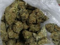 Şüpheli şahsın üzerinde 54 gram marihuana ele geçirildi