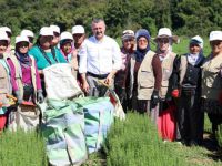 30 Büyükşehir, tarımın kalkınması için Kocaeli’de bir araya geliyor