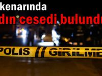 Yol kenarında kadın cesedi bulundu!