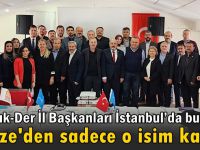 Sağlık-Der İl Başkanları İstanbul’da buluştu