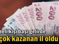 Kocaeli kişi başı gelirde en çok kazanan il oldu!