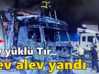 Çay yüklü Tır alev alev yandı