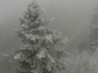 Kocaeli'de yüksek kesimlerde kar yağışı başladı